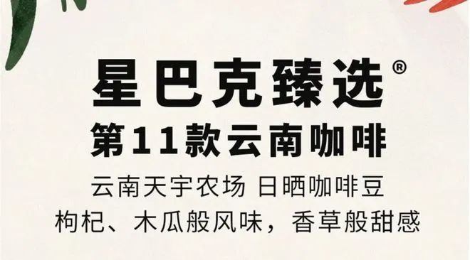 彩云之南的馥郁传奇开元棋牌云南咖啡：(图18)